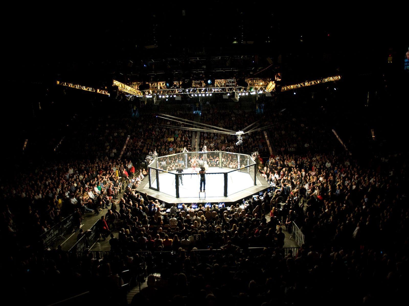 Ambiance octogone MMA